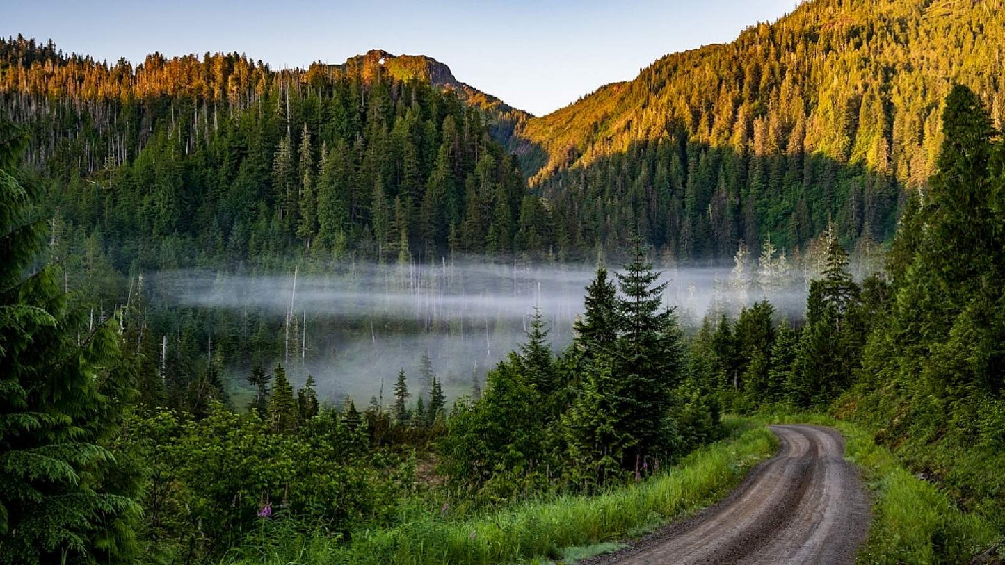 Ketchikan Hovercraft Eco Adventure, 1 hr 30 Minute Tour in Alaska