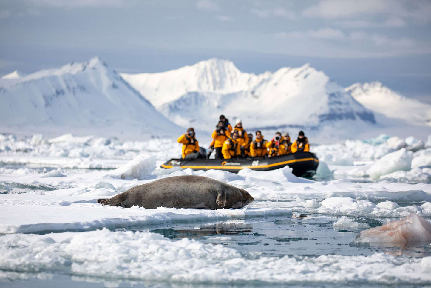 Antarctic Explorer: Discovering The 7Th Continent, 11 Day Cruise