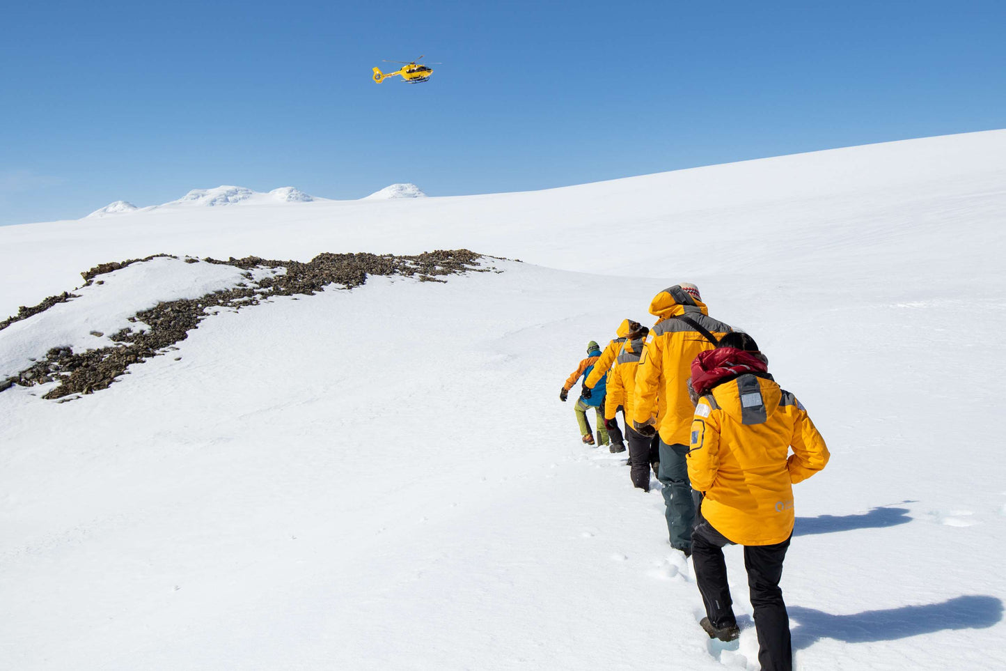 Antarctic Explorer: Discovering The 7Th Continent, 11 Day Cruise