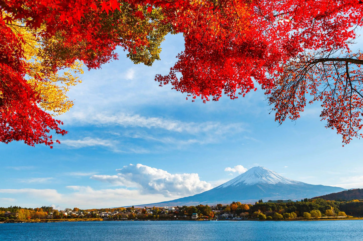Honeymoon in Japan: 14 Days