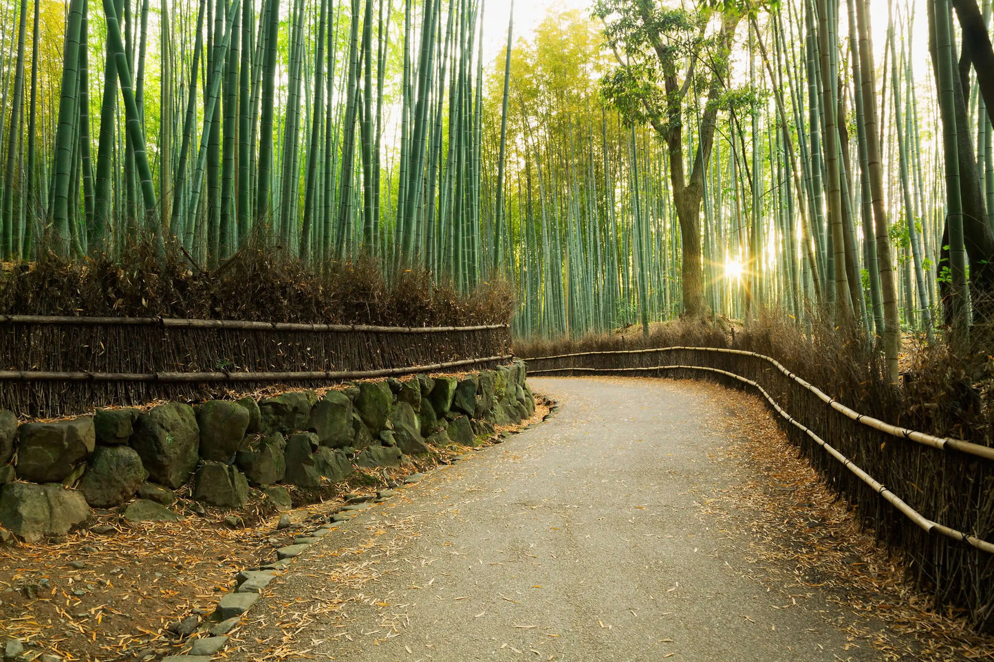 Honeymoon in Japan: 14 Days
