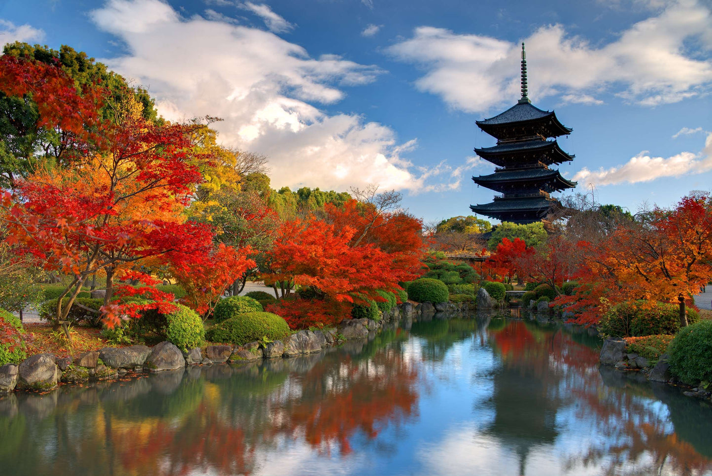Japanese Tea Ceremony and Zen Temple Walk, 3 Hours in Kyoto