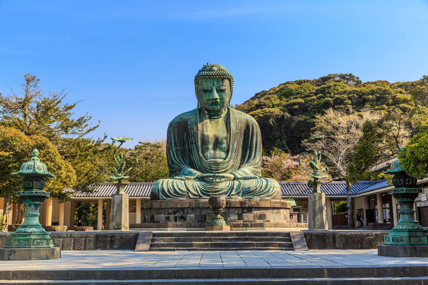 Japanese Tea Ceremony and Zen Temple Walk, 3 Hours in Kyoto