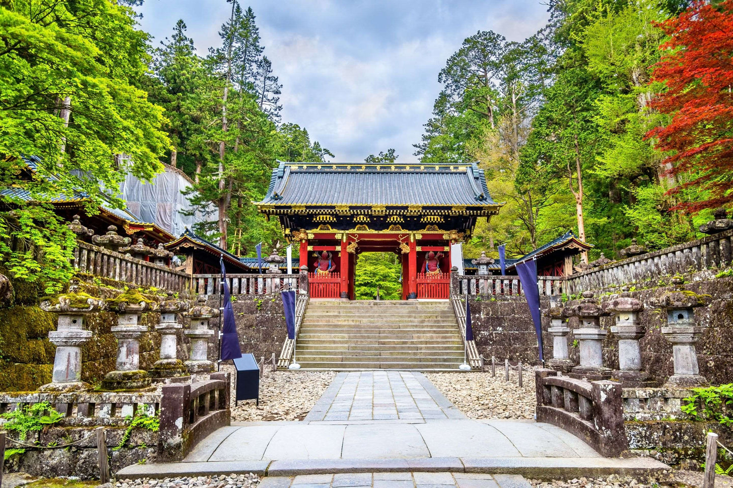 Japanese Tea Ceremony and Zen Temple Walk, 3 Hours in Kyoto