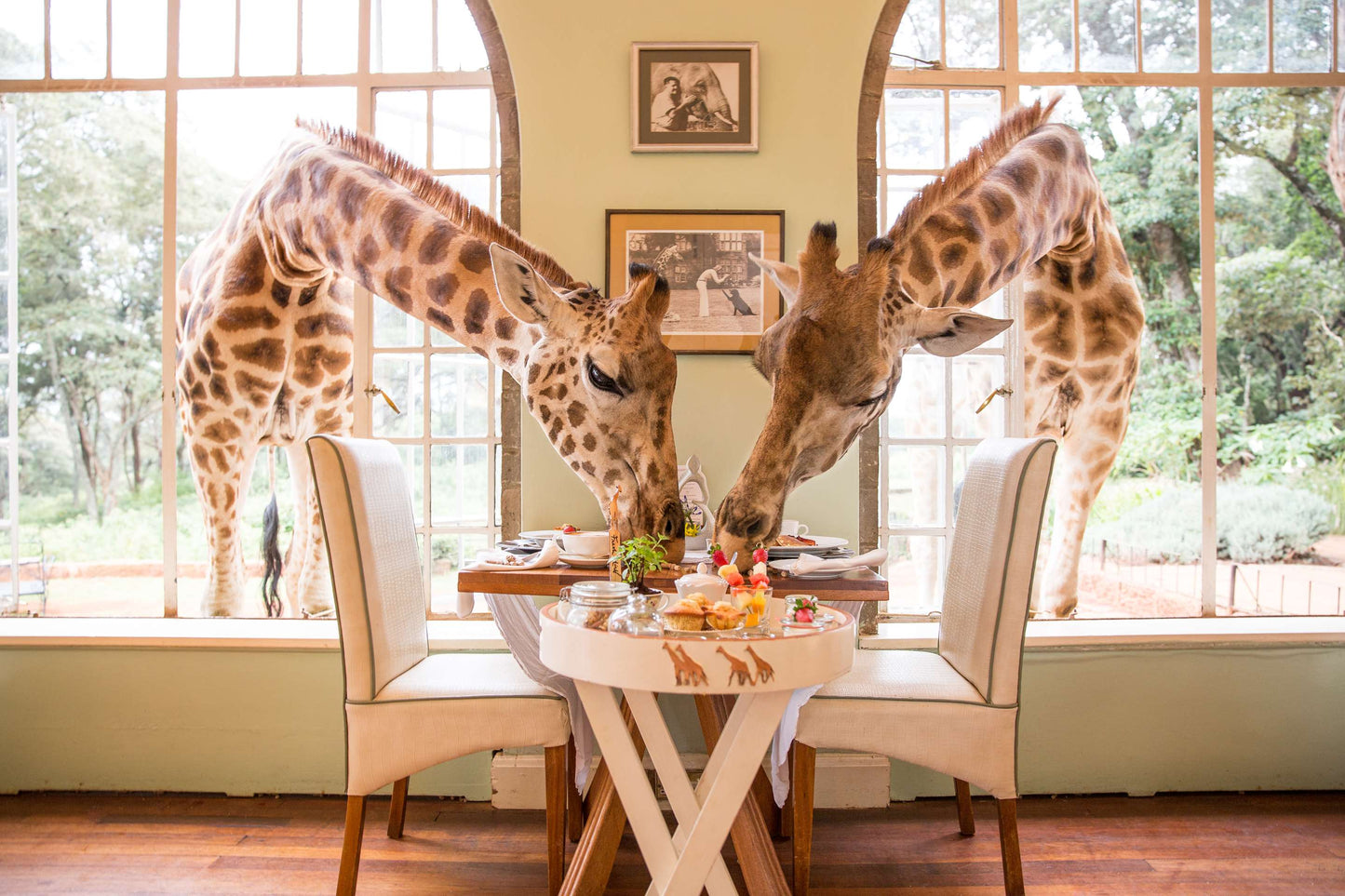 Kenya Family Safari, 11 Day Tour