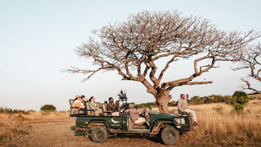 Grand South Africa Safari, 9 Day Tour