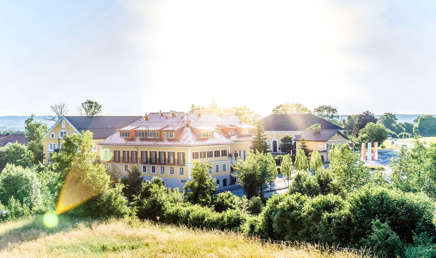 Private Historical City Tour with Schönbrunn Palace, 4 Hours in Austria