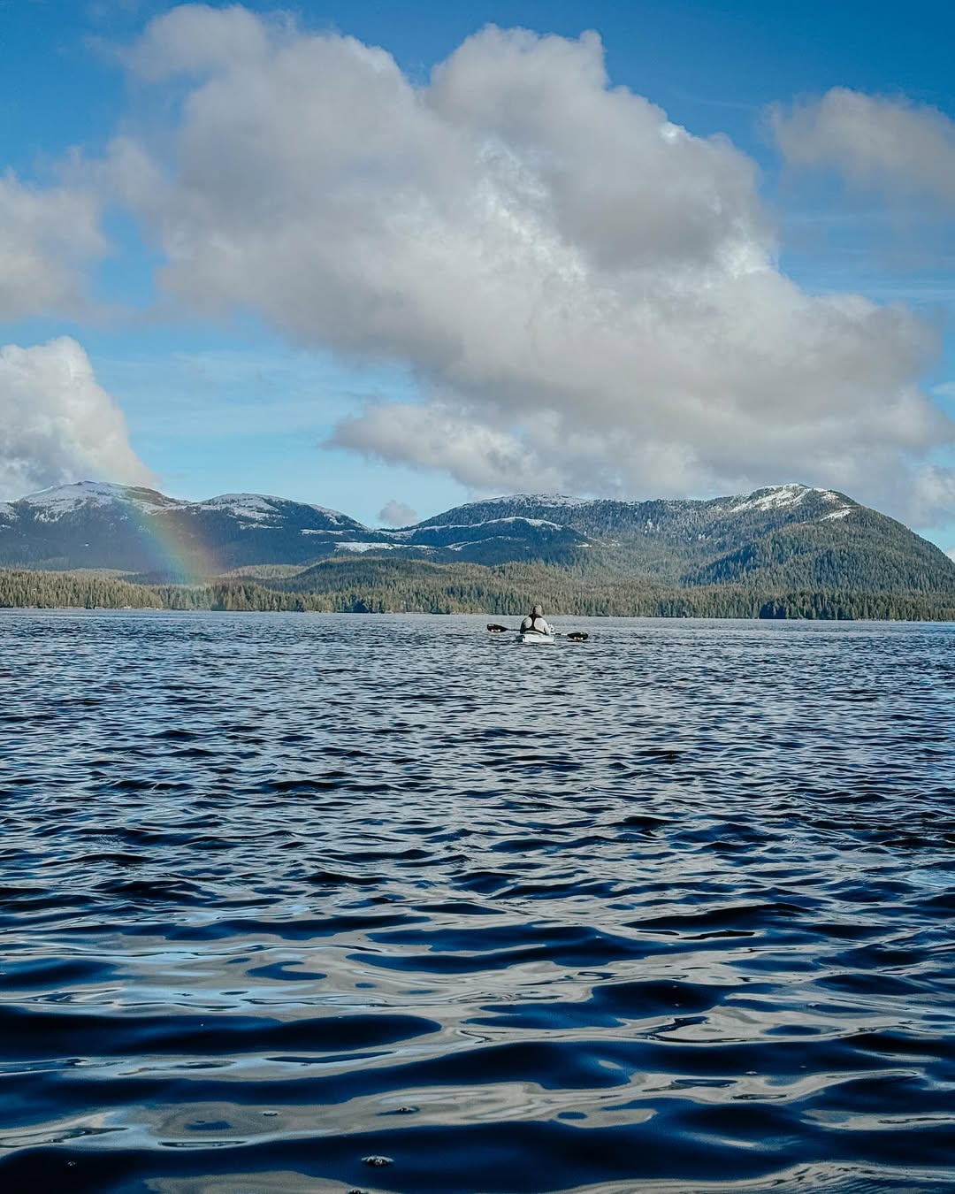 Ketchikan Hovercraft Eco Adventure, 1 hr 30 Minute Tour in Alaska