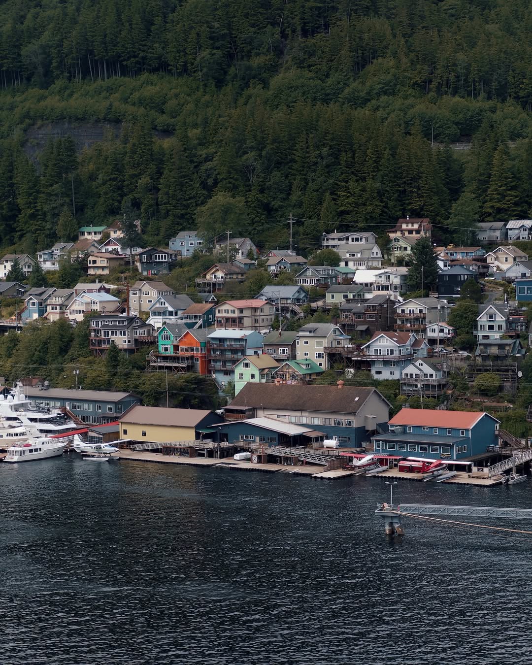 Ketchikan Hovercraft Eco Adventure, 1 hr 30 Minute Tour in Alaska