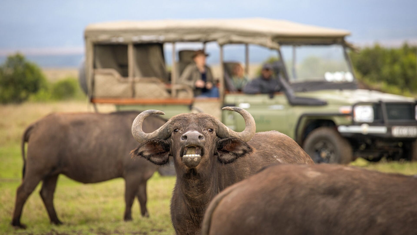 Kenya Family Safari, 11 Day Tour