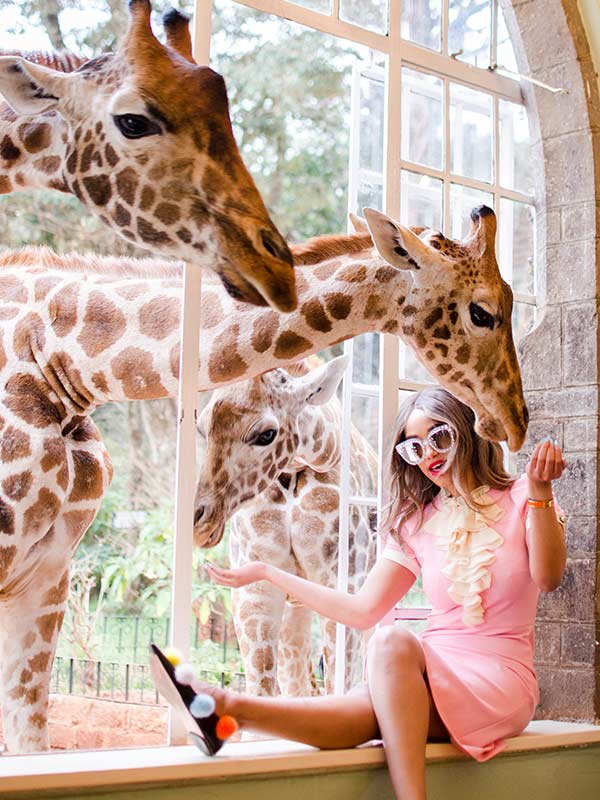 Kenya Family Safari, 11 Day Tour