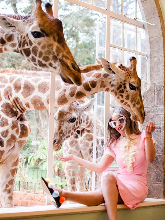 Kenya Family Safari, 11 Day Tour
