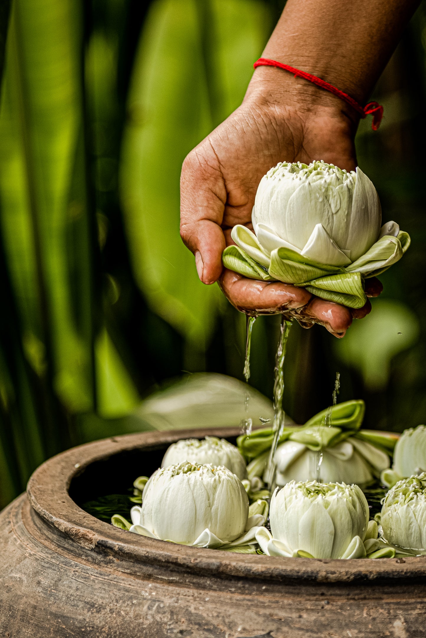 Cultural Wellness Escape in Siem Reap, 5 Days in Cambodia