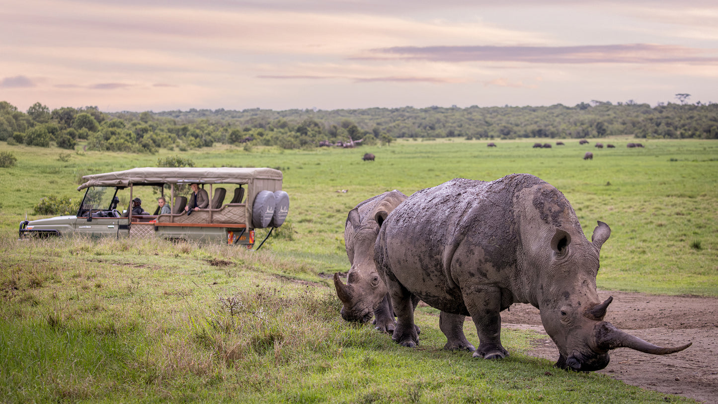 Kenya Family Safari, 11 Day Tour