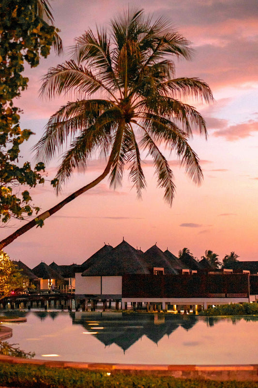 SOUTH PACIFIC
