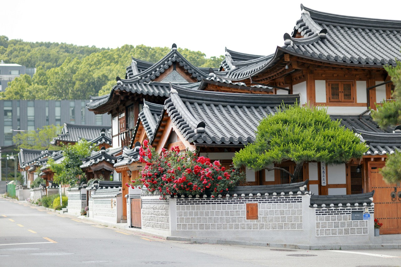 Korean Real Food Adventure, 8 Days in South Korea