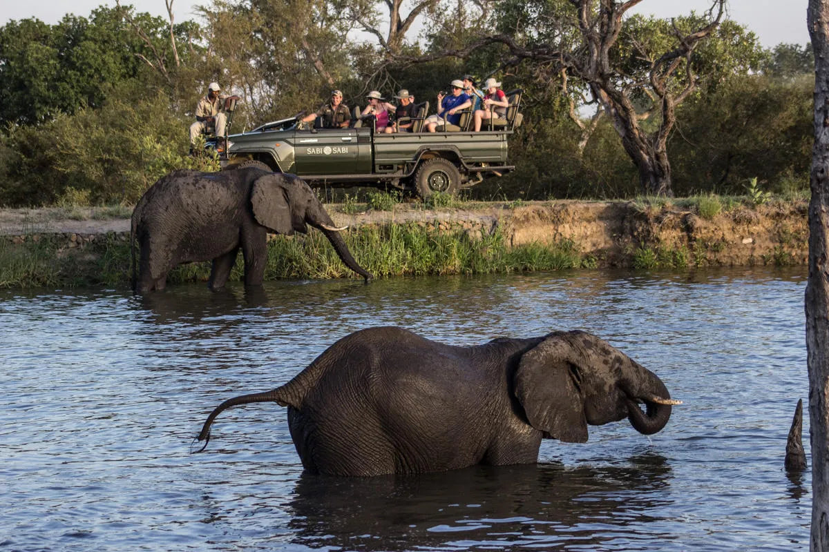 Luxury South Africa Honeymoon, 10 Day Tour