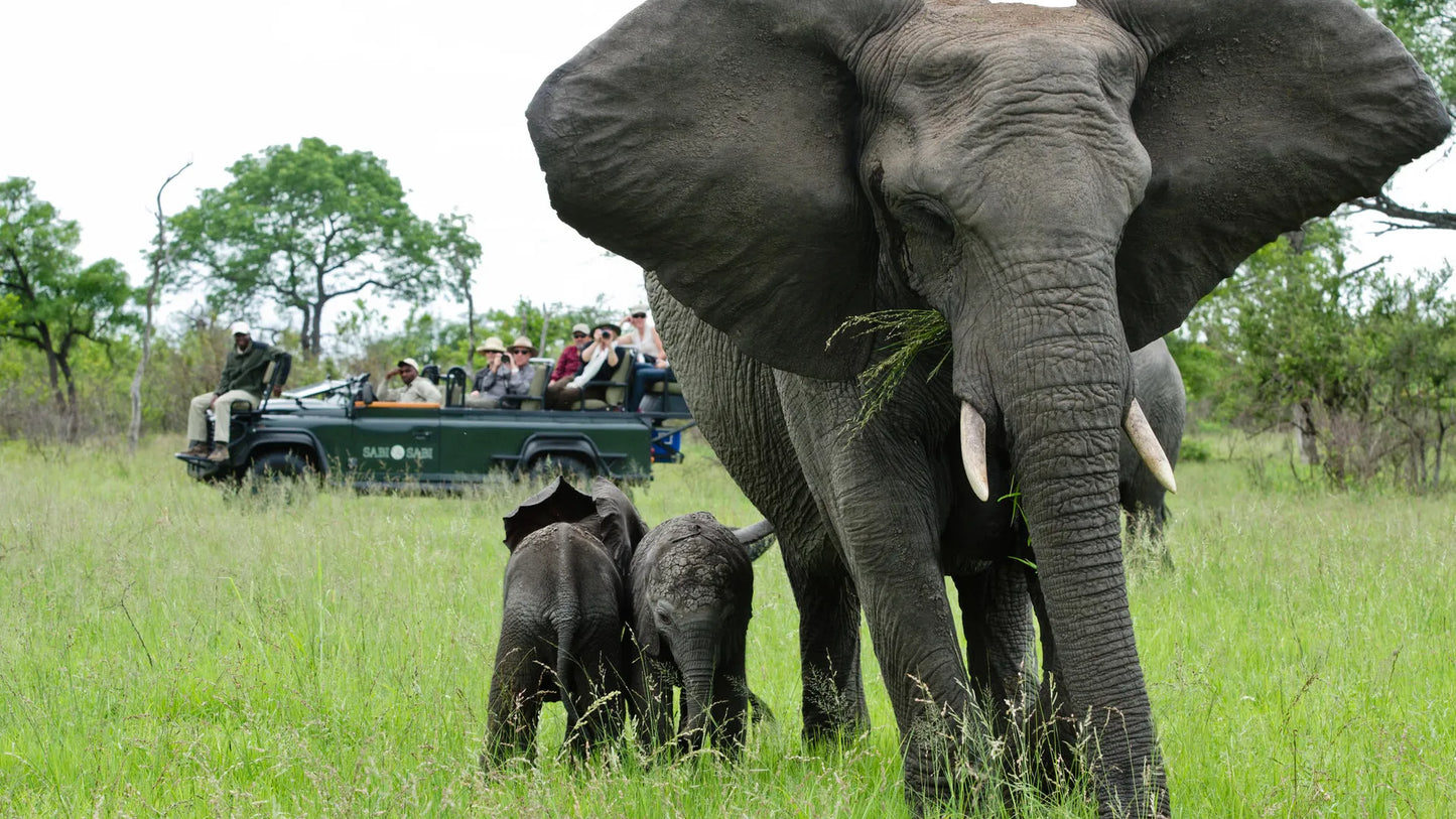 Luxury South Africa Honeymoon, 10 Day Tour